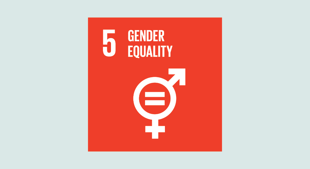 UNDP Turkmenistan earns BRONZE level certification of the Gender Equality  Seal | United Nations Development Programme