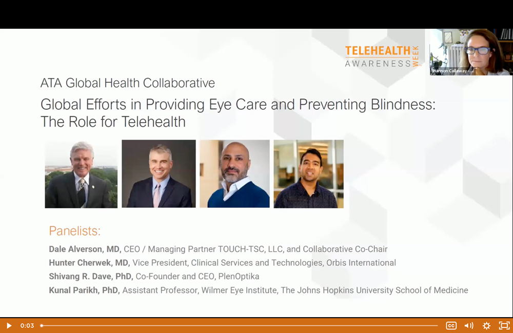 Global Efforts in Providing Eye Care and Preventing Blindness: The Role for Telehealth